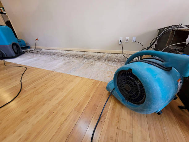 Professional Water Damage Repair technician working in Cordesville, SC